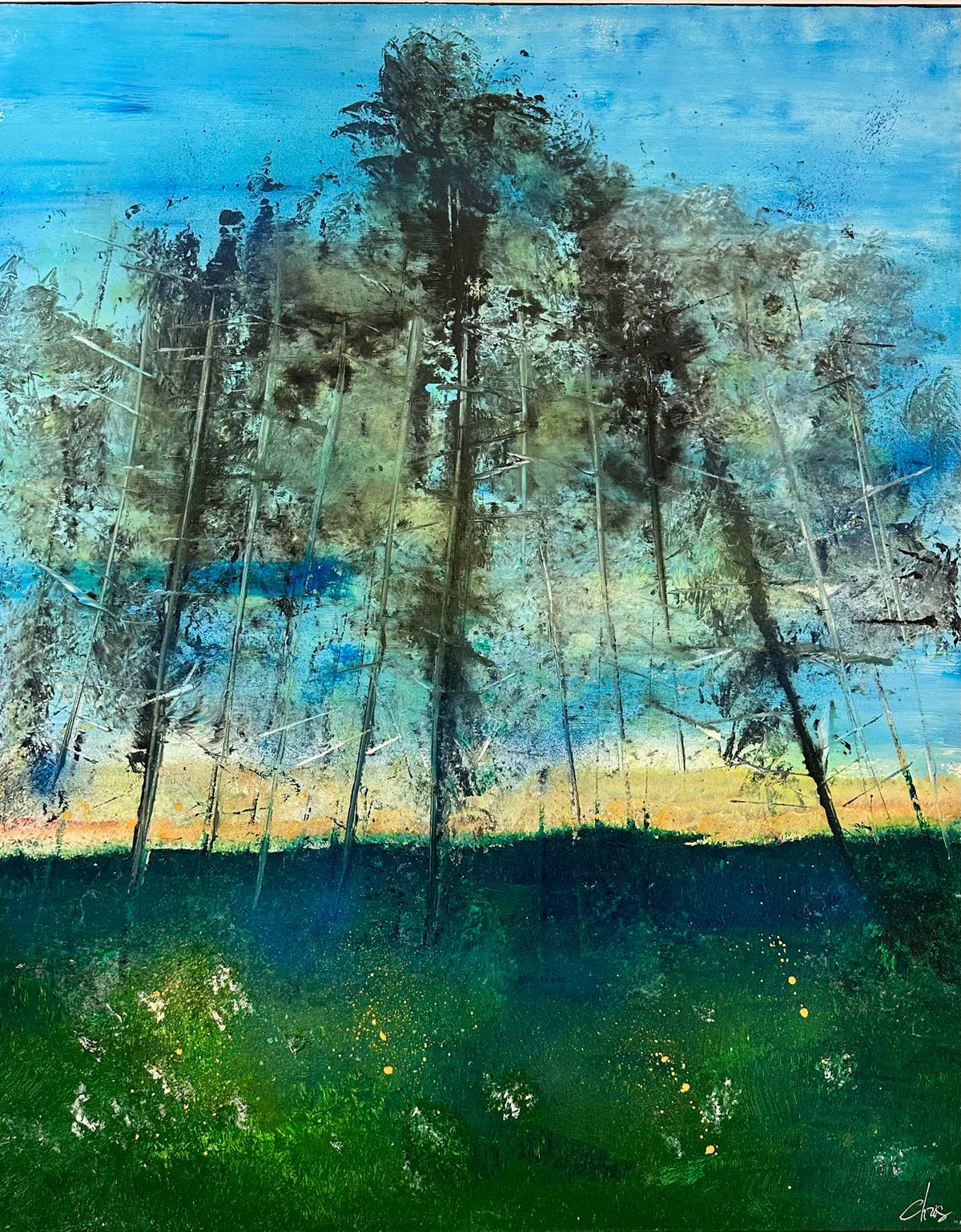 La Forêt des Cèdres